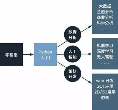 當(dāng)你只有一門語言 Python驅(qū)動人工智能基礎(chǔ)軟件開發(fā)的深度路徑